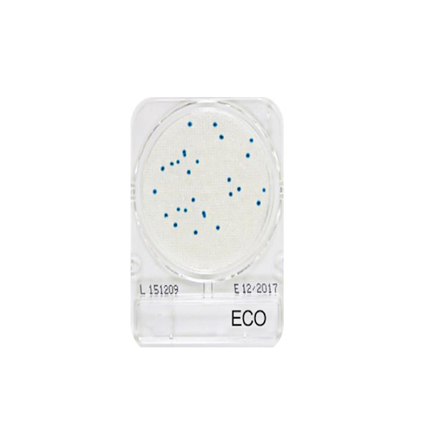 微生物快篩測試組_大腸桿菌 Compact Dry ECO 1
