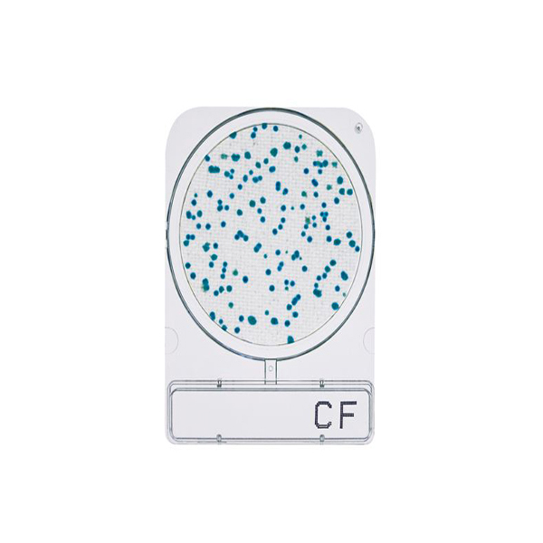 微生物快篩測試組_大腸桿菌群 Compact Dry CF 1