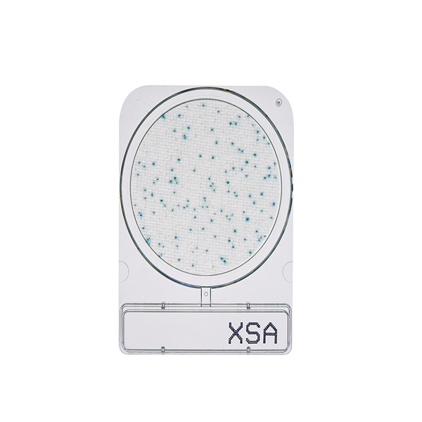 微生物快篩測試組_金黃色葡萄球菌 Compact Dry XSA 1