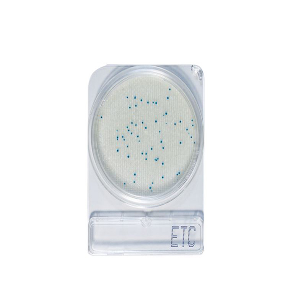微生物快篩測試組_腸球菌 Compact Dry ETC 1